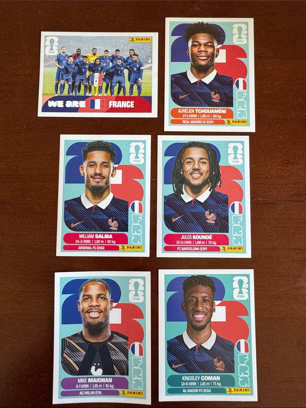 Panini FIFA France World Cup Sticker Lot